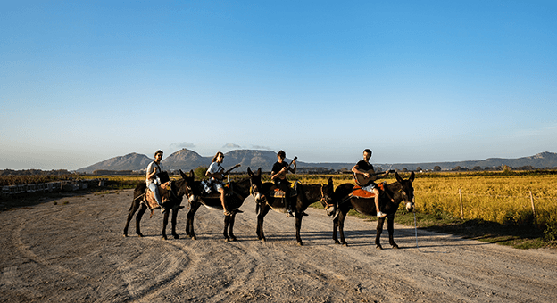 Rock Grubu AnnenMayKantereit İstanbul'a Geliyor