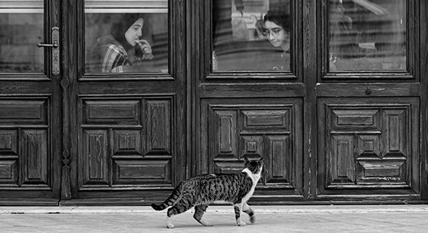 Zeytinburnu’nu ‘En İyi Anlatan’ Fotoğraflar Belli Oldu