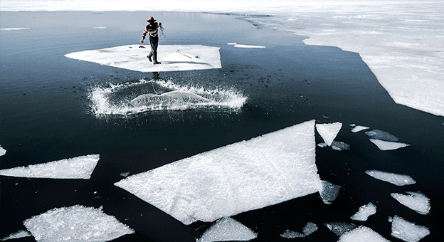 Balık fotoğrafı yarışmasında kazananlar belli oldu