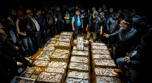 Balık fotoğrafı yarışmasında kazananlar belli oldu