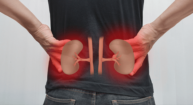 Böbrekleri Korumanın 10 Kritik Kuralı