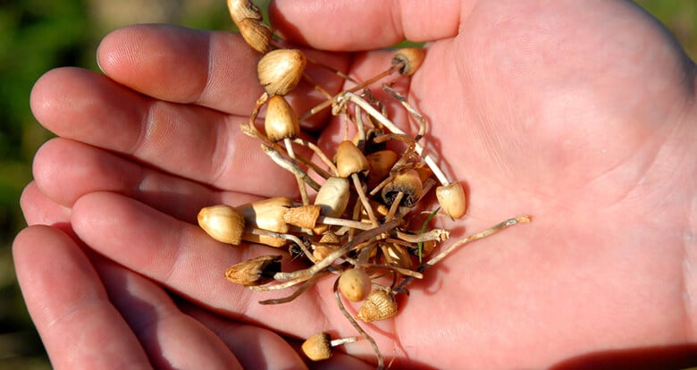 Türkiye'nin bahar festivalleri, herkese iyi gelecek