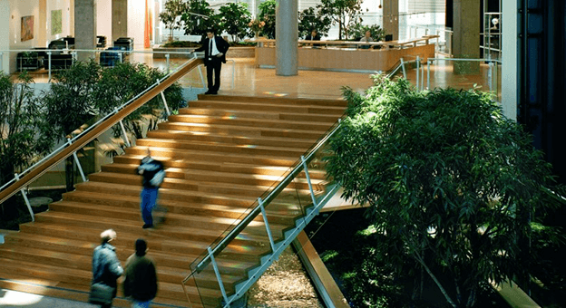 Yeni normalde biyofilik tasarım dönemi başlıyor