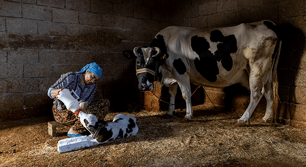 5. Geleneksel Aksa Fotofest Yarışması Sonuçlandı