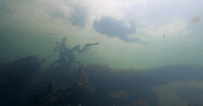 Düden'e dalış yaptılar 'balıklar tamamen ölmüş' dediler