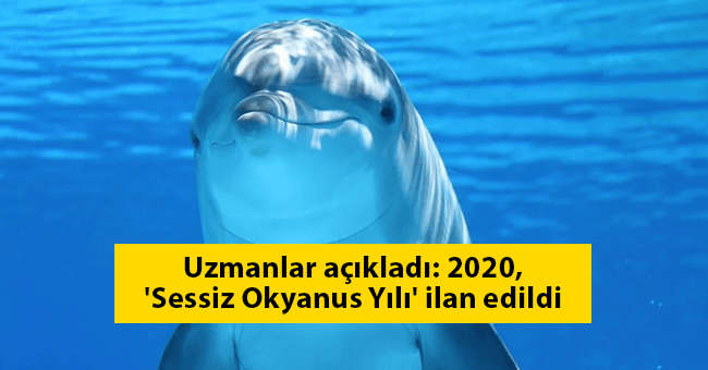 Uzmanlar açıkladı: 2020, 'Sessiz Okyanus Yılı' ilan edildi