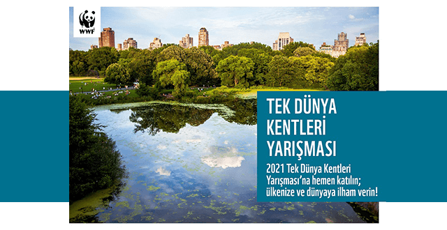 Kentler sürdürülebilir bir gelecek için yarışacak