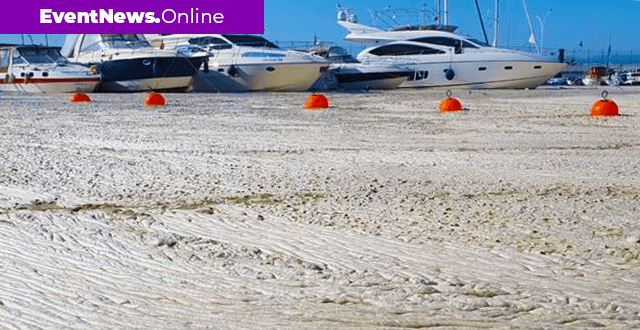 Müsilaj, Marmara Denizi’nde ciddi ekolojik tahribat oluşturdu