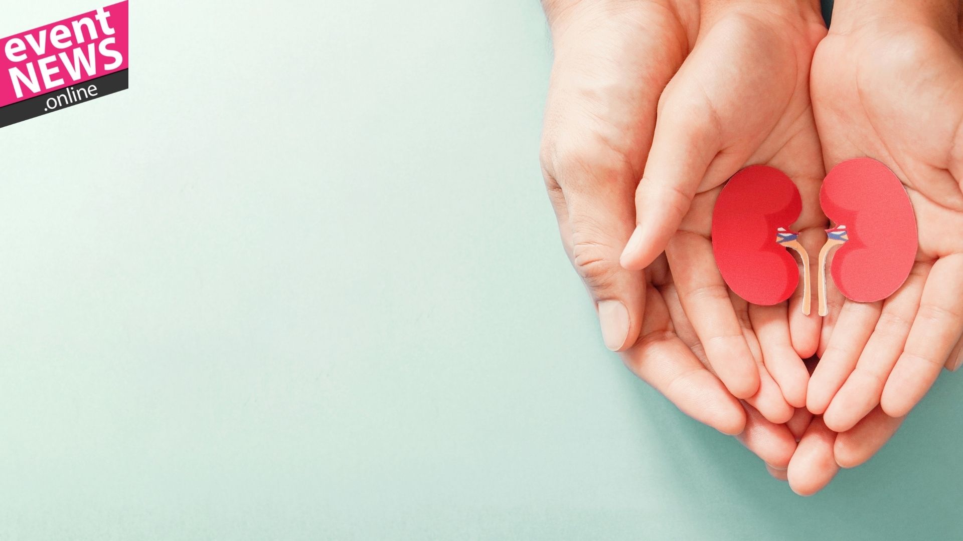 Türkiye'de Her 5-6 Yetişkinden Biri Böbrek Hastası