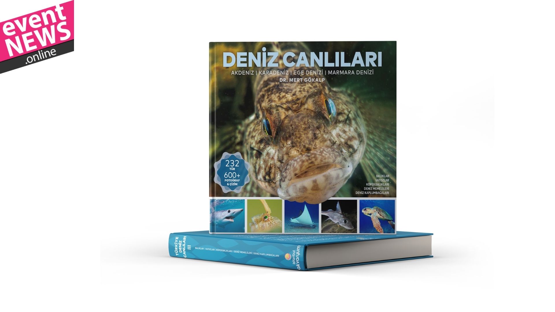 Türkiye'nin En Kapsamlı “Deniz Canlıları