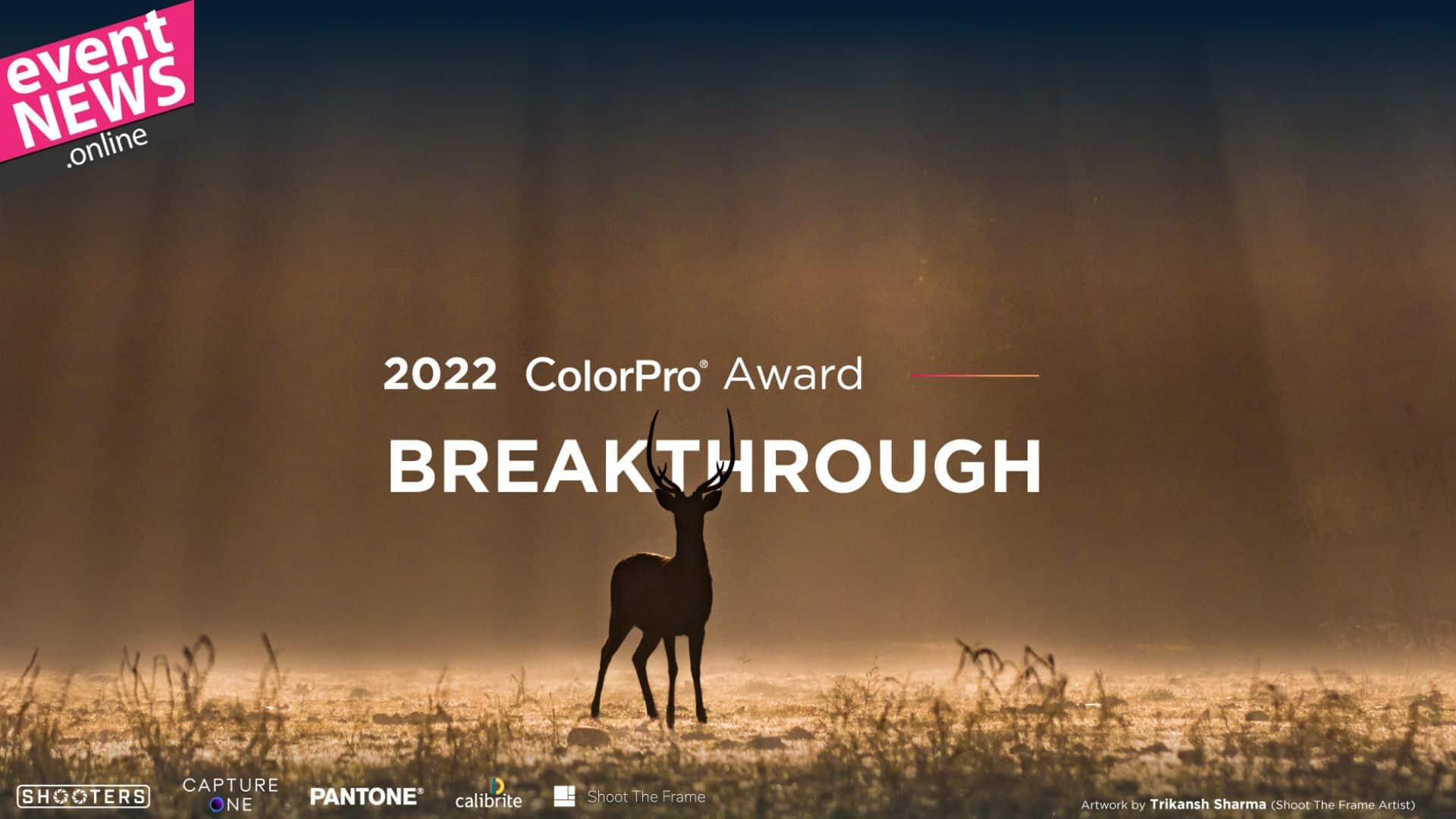 <strong>Global Fotoğraf Yarışması ColorPro Award 2022 Başlıyor</strong>