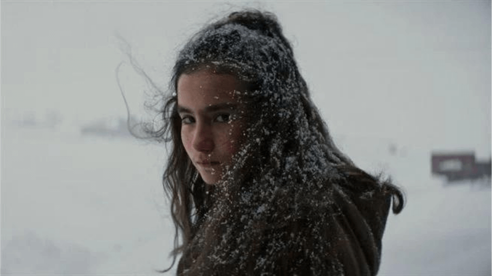 Nuri Bilge Ceylan'ın