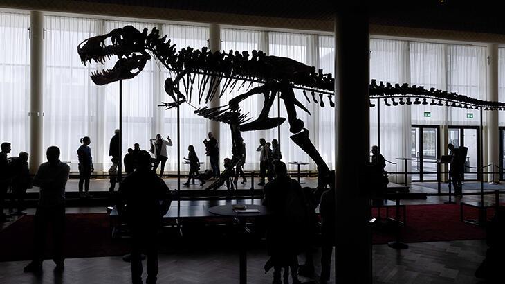 İsviçre'de dev dinozor iskeleti açık artırmaya çıkarılacak
