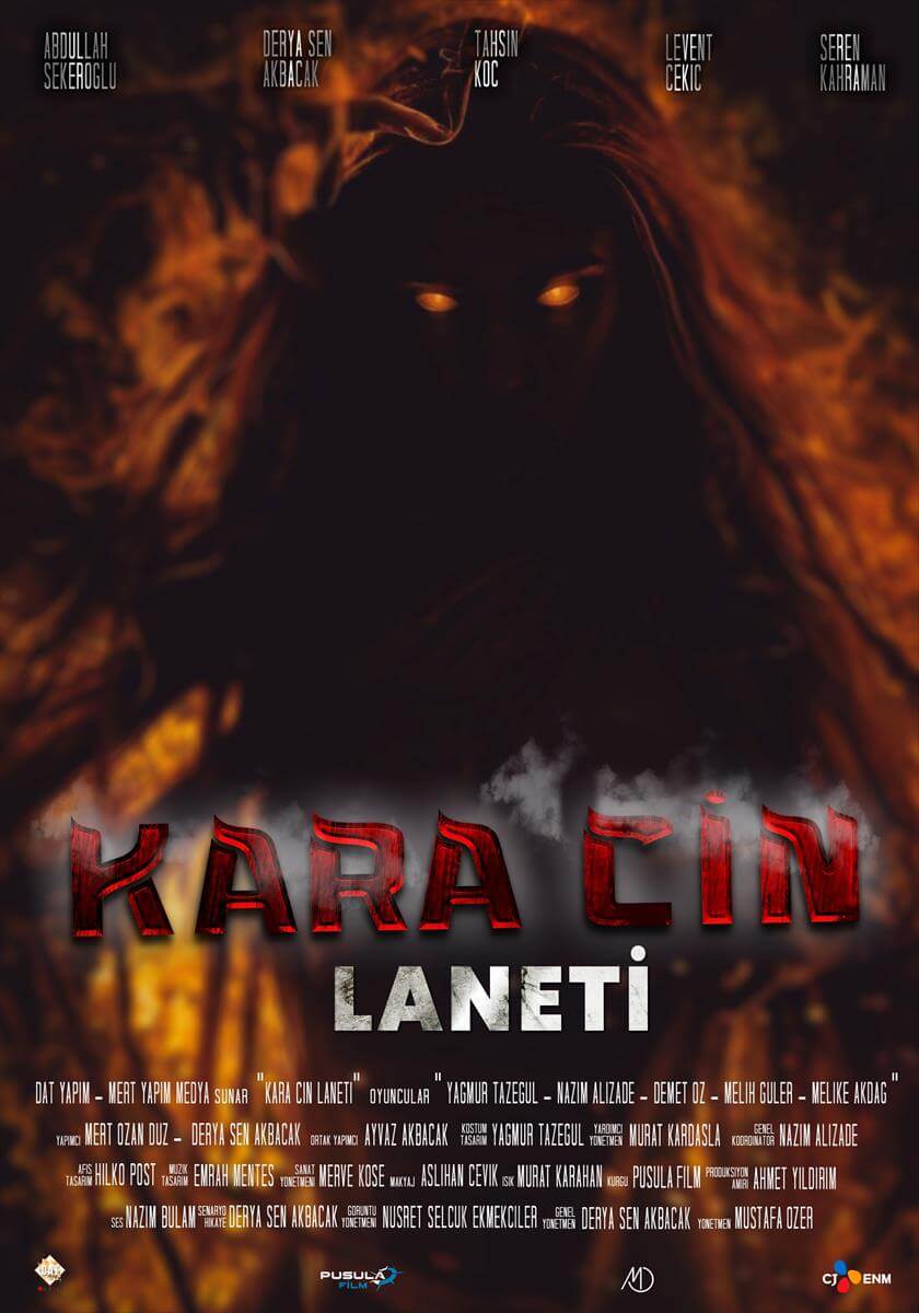 Farklı türde yerli ve yabancı filmler 15 Mart'ta vizyona giriyor