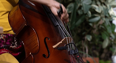 Bitkiler ve Bitkileri Sevenler için Sıcak Toprak Sesleri