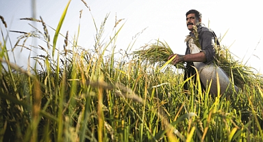 Tarlada Üretim, Pazarda Alım Zorlaşıyor
