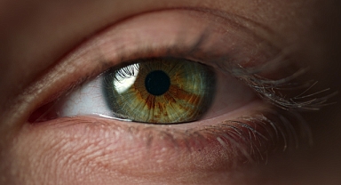 GÖRME SAĞLIĞINI KORUYAN BESİNLER VE ÖNERİLER