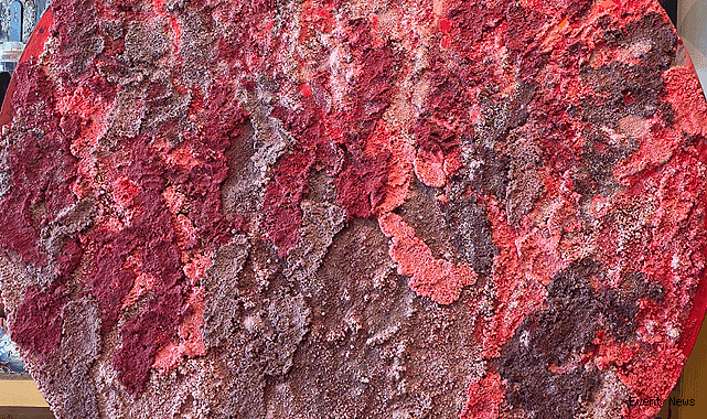 Urla’da sanata davet: Tuğçe Çalımbay’dan “HIDDEN” sergisi