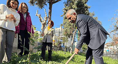 Mimoza Festivali kapsamında İstanbul’un Adalar ilçesinde düzenlenen etkinlikler,